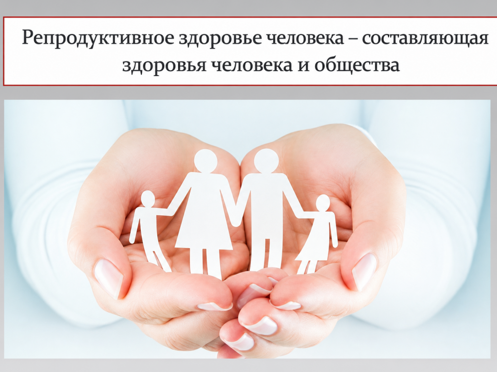IMG_5286.PNG